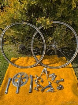 Sadu Campagnolo Victory