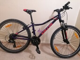 Horský bicykel