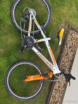 Detsky bycikel Torpado Viper 24”