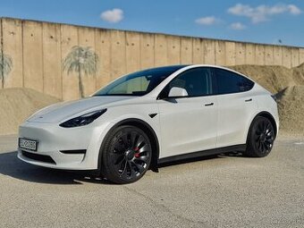 Tesla Y Performance