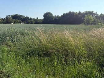 Bojna-krásny veľký pozemok na stavbu RD, 37- árov, šírka 19m