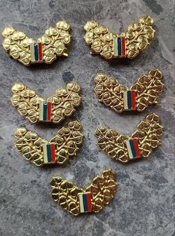 Vojenské odznaky generála ASR na výložky