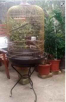 klietka pre papagaje