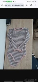 merino body
