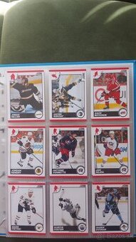 Hokejové kartičky NHL MIX 6