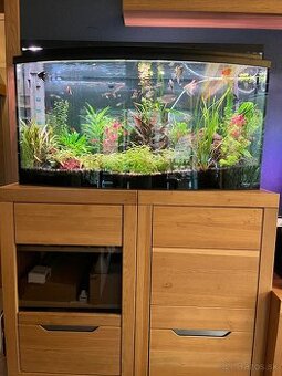 AKVÁRIUM 250l