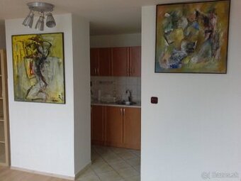 Prenájom 2,5i bytu v blízkosti Eurovea