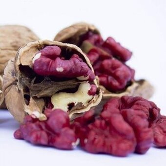 Stromčeky. Bordový kráľovský orech Bischof.