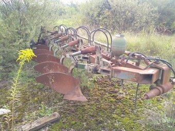 pluh phx päťtorák