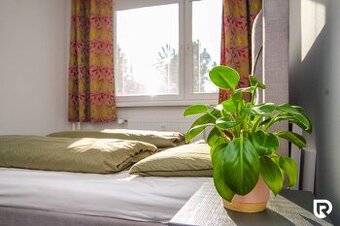 RADO | 2i byt 50m2 + lódžia, Jedlíkova - Žilina