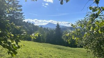 Rozľahlý pozemok v lone prírody – Medzibrodie