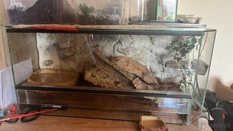 Terarium 70x30x30