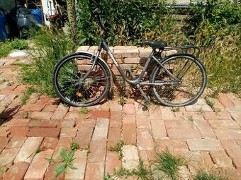 Liberta 26"