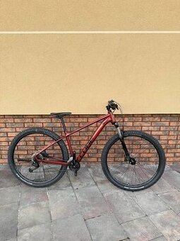 Bicykel
