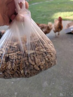 Domáce zajace na mäso, vlažské orechy vylúpané