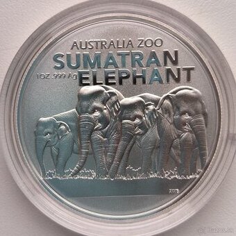 Dollar Australia ZOO - 2022 - Slon Sumaterský - RAM