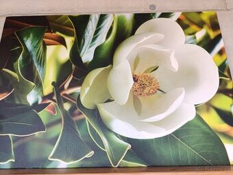 Predám obraz fotoplatno