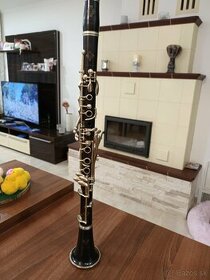 B klarinet buffet crampon r13
