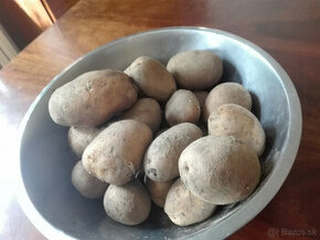 Predám konzumné BIO zemiaky odroda Soraya - 0,6 Eur/kg - 1