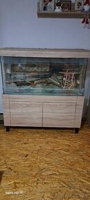 Terarium - 1
