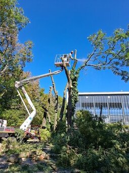 Pilenie stromov Arboristika