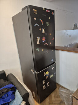 Chladnička s mrazničkou Samsung