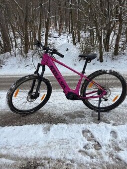 Predam Kellys Tayen R50 S