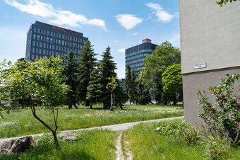 NA PREDAJ - 3 izbový Investičný byt, Fibichová ulica, Košice