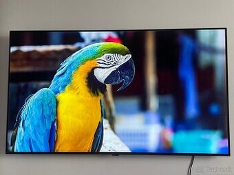 LG OLED55B3