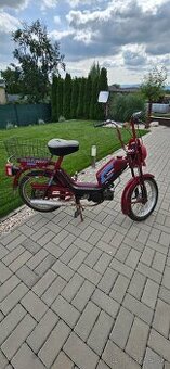 Babetta 210 - 1