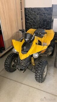 Can am ds 250 tp spz - 1