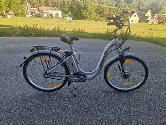 Prophete ebike100