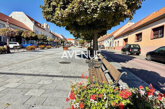 AVENUE | 5i RD s vinnou pivnicou, Svätý Jur, Prostredná ul., - 1