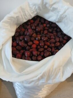 šípky tohtoročné sušené