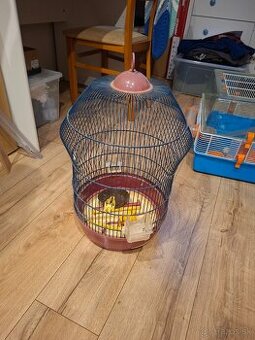 predám klietku pre andulky