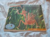Predám 3D PUZZLE Zvieratá 03