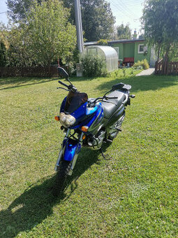 Suzuki XF 650 Freewind