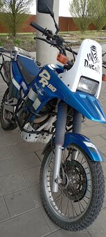 Suzuki DR 800 Big