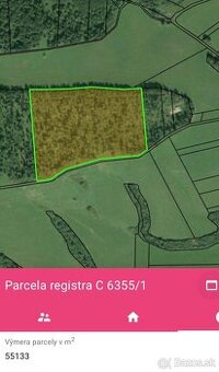 Predám lesny pozemok