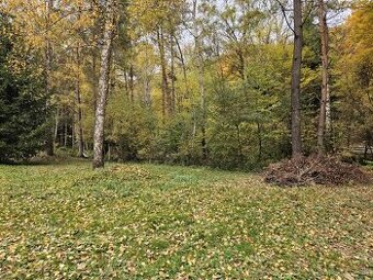 Rekreačný pozemok, 717 m2, Horné Bzince- Cetuna - 1