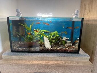 Akvarium 40litru