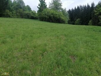 Predaj: Stavebný pozemok v obci Klokočov(199-P)