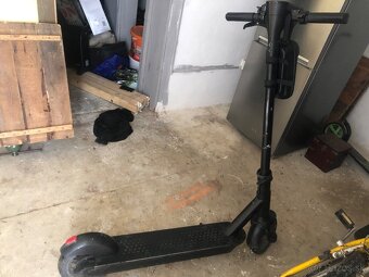 Predam elektrickú kolobezku bird One