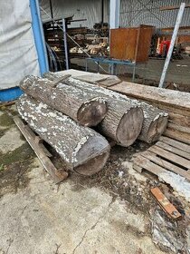 Predám lipové drevo (kmene) 4ks 4m 40 cm priemer
