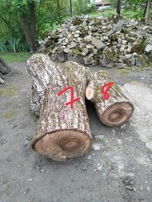 Orech, orechove drevo