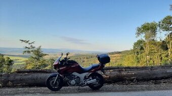 Yamaha tdm