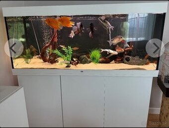 Juwel akvárium 450 l komplet