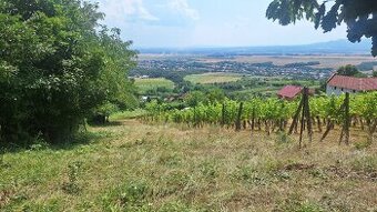 Pozemok - rekreačná oblasť pri obci Vinica