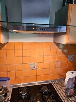 GORENJE DTG 6335 E