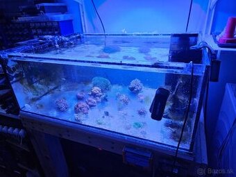 Akvarium 80x60cm s prepadom + sump 70x40cm za odvoz
